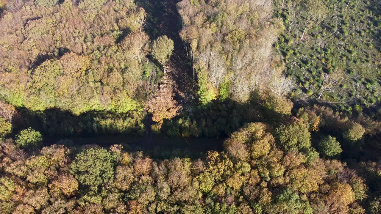 drone viendo la deforestación que tiene lugar en el reino unido