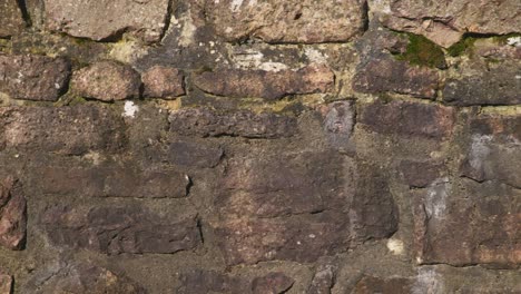 close up view of historic stone wall ruins in 4k