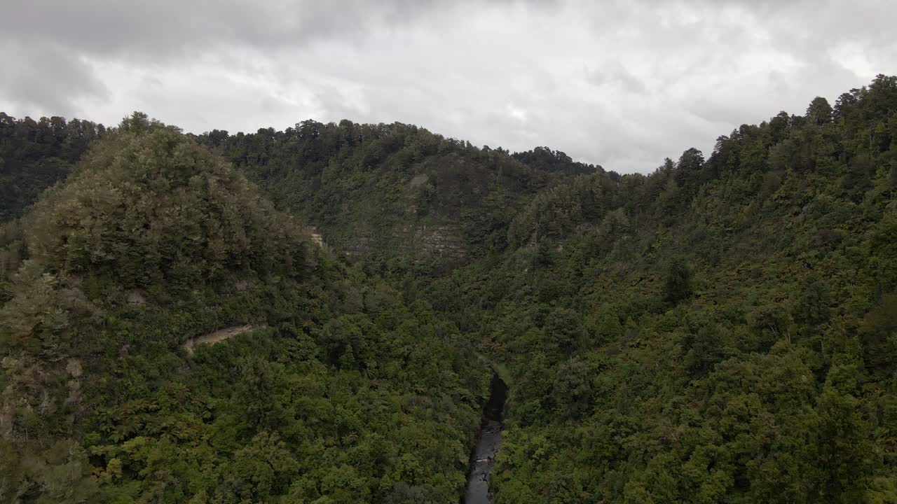cañón escarpado cubierto por una densa selva tropical en nueva zelanda