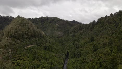 Schroffe-Schlucht,-Die-Von-Dichtem-Regenwald-In-Neuseeland-Bewachsen-Ist