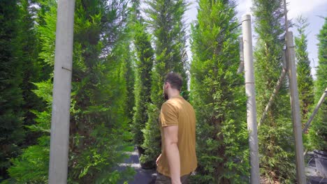 attractive young man works in the greenhouse growing flowers.