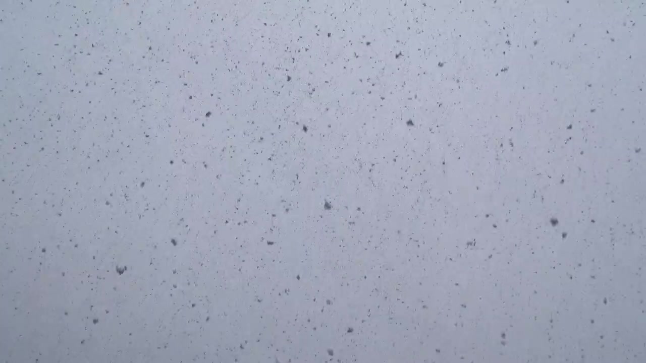 Forte nevicata sotto un cielo invernale grigio.