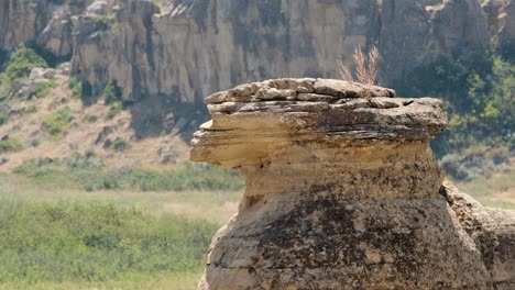 Eroded rock hoodoo looks like cat&#039;s head amid intense heat shimmer