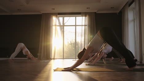 a group of women practice yoga under the strict guidance of an instructor in slow motion and sunlight at sunrise.