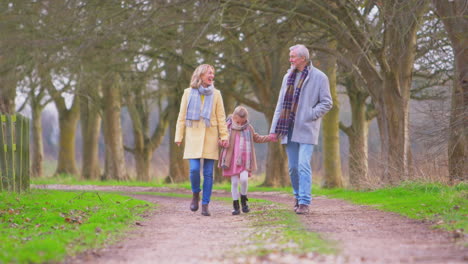 Abuelos-Con-Nieta-Afuera-Caminando-Por-El-Campo-Invernal-Tomados-De-La-Mano