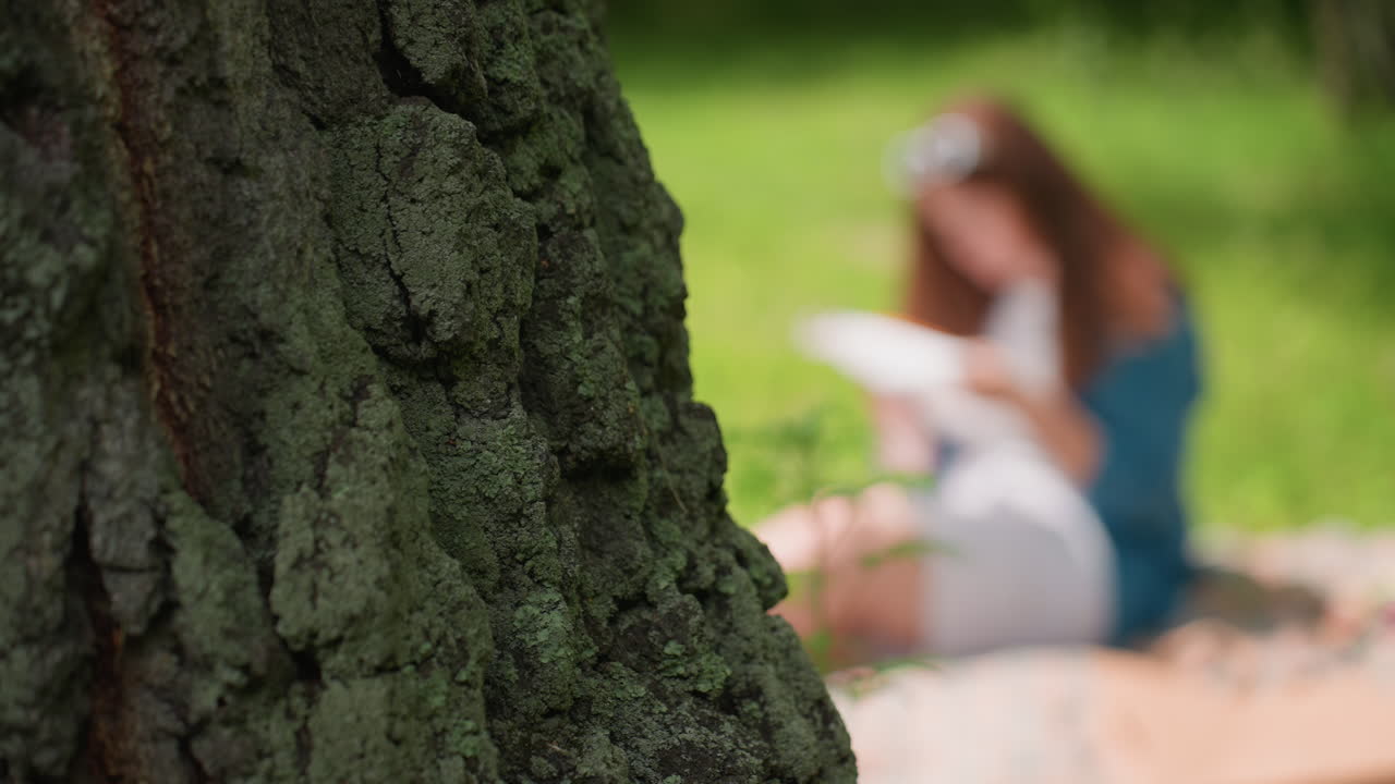 Close up of rough tree trunk with soft blurred background showing woman seated on blanket stitching cloth in sunny park surrounded by greenery, highlighting contrast between textured bark