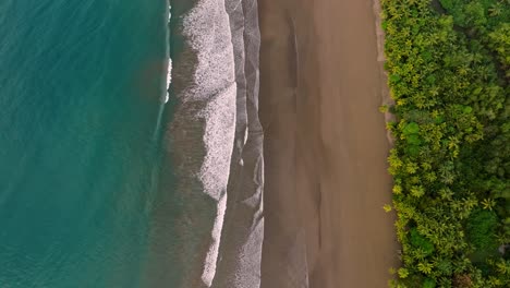unique aerial top-down view of uvita's stunning tropical beach at sunrise, with turquoise ocean waves meeting golden sand backed by lush, illuminated palm-fringed rainforest