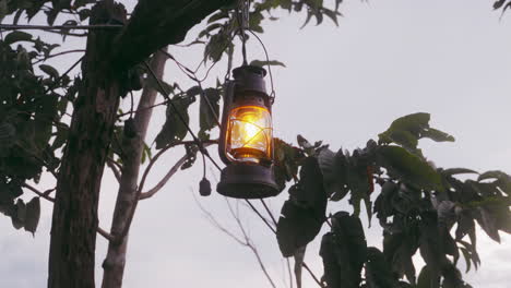 illuminated lantern hanging from a tree branch, casting a warm glow