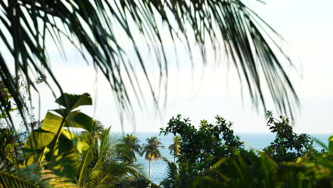 green leaves of tropical palm trees with blue sea in the background