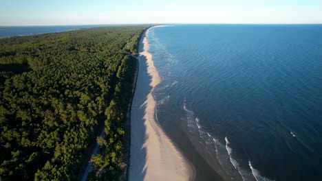 vista aérea a lo largo del bosque y la playa de krynica morska