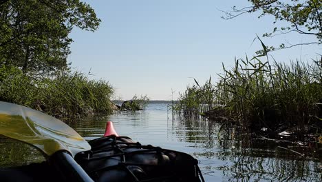 fps canoe pov, vibrant norwegian nature