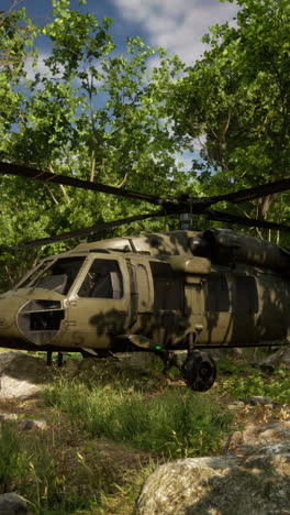 black hawk helicopter in a forest