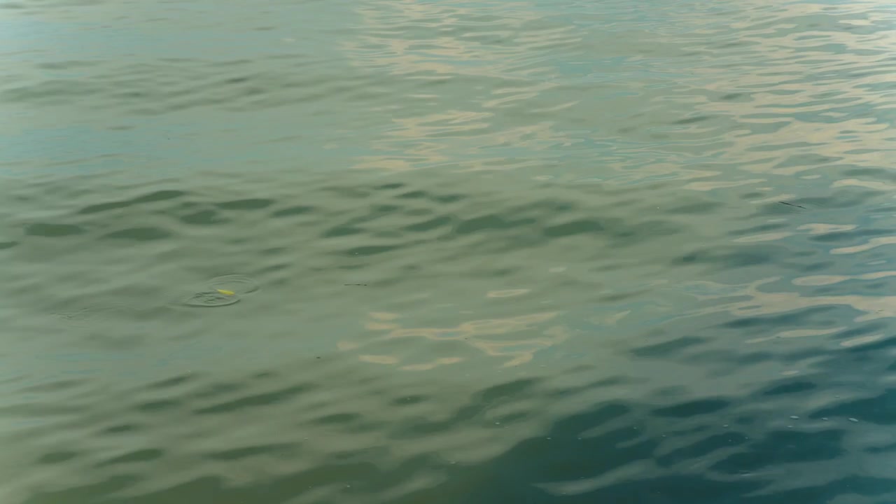 Calm sea water surface texture with gentle ripples and soft reflections background