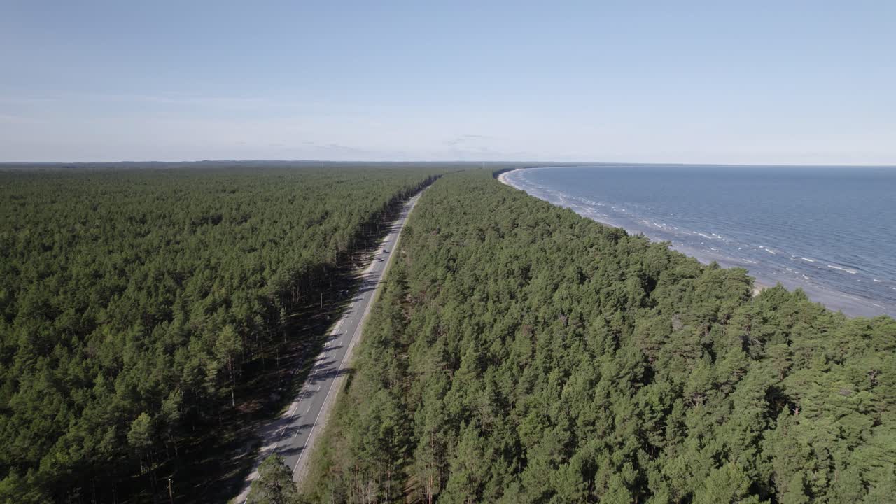 Luftfoto af biler på vej i grøn skov ved havet.