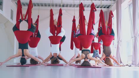 Las-Hamacas-Rojas-De-Yoga-Con-Mosca-Sostienen-A-Mujeres-Relajadas-Colgando-Boca-Abajo.