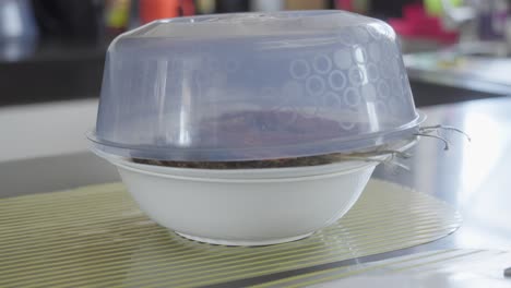 fried bangus on plate, on top of bowl, with food cover