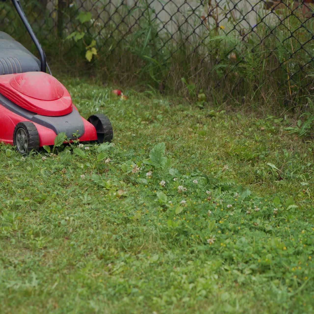 girl is mowing weeds by lawn mower in the garden near the fence in the summer