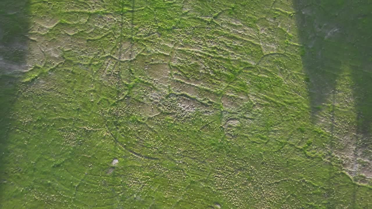 una toma de drone de 4k comienza cerca del suelo, levantándose para revelar un campo verde, árboles y un vecindario suburbano con casas y calles.