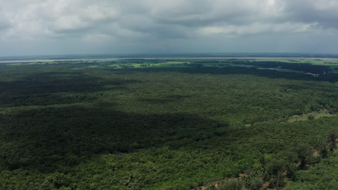 Sweeping drone panorama over endless green mangrove canopy under cloudy skies in Bhitarkanika wetlands in Odisha, India