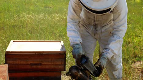 los apicultores fuman a las abejas lejos de la colmena