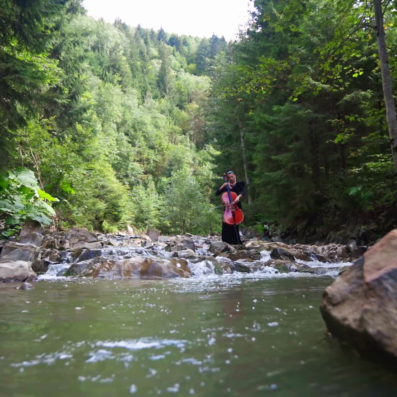 Female cellist among mountain river. Woman playing the cello while standing on stones in water on beautiful forest background in summer.