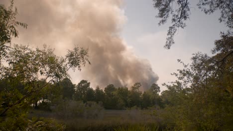incendio de pantano de cinco millas en el condado de santa rosa desde mayo de 2020