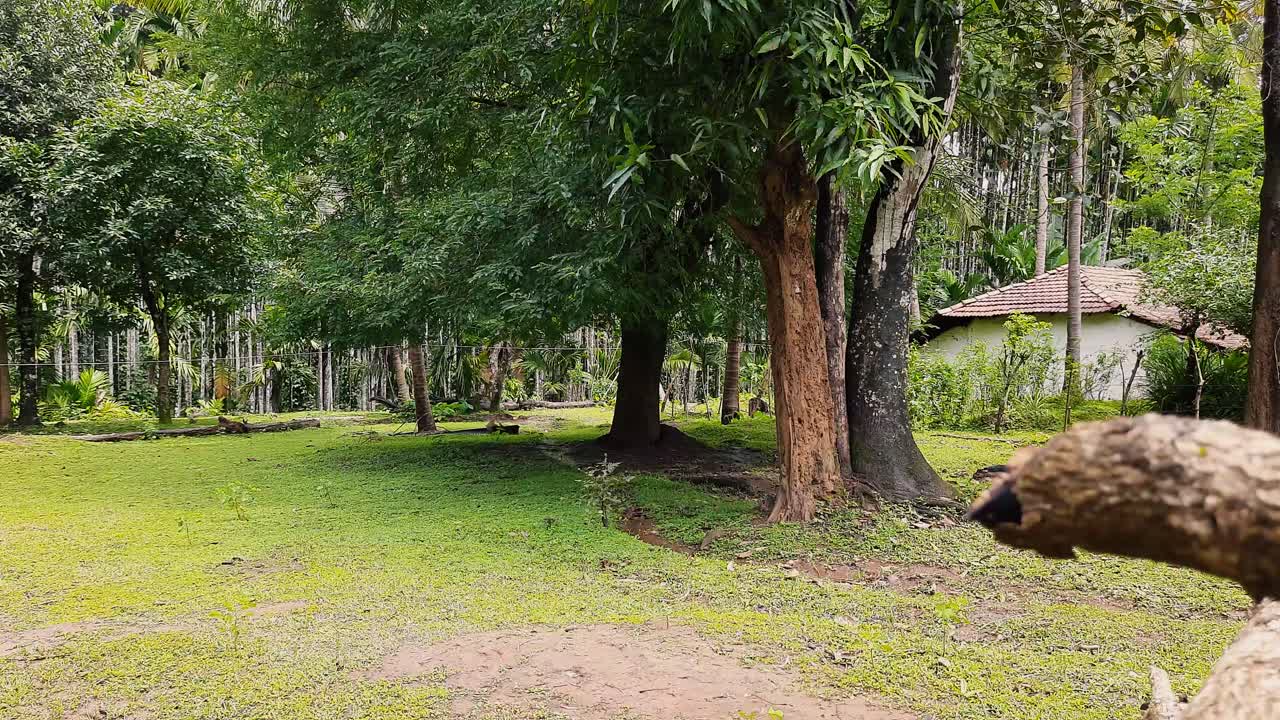 Beautiful bucolic scene in sunny day. Static