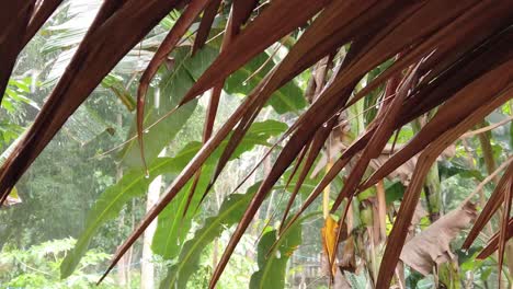 cámara lenta: gotas de lluvia goteando del techo de una choza tradicional de nipa en medio de un bosque tropical