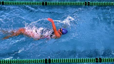 fit female swimmer doing the back stroke in swimming pool