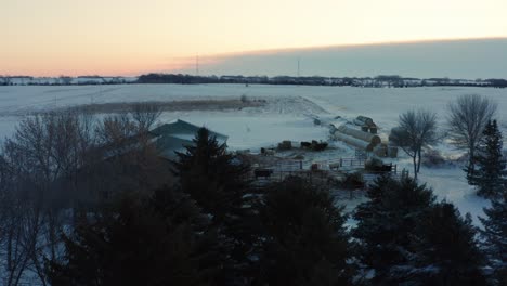 Aerial-reveal-shot-of-a-cow-pen-in-snowy,-rural-Minnesota