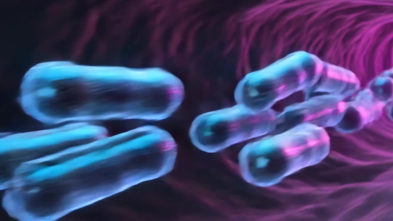 Grappolo scorrevole di forme di capsule traslucide che si muovono attraverso un tunnel fibroso magenta, spinto dal flusso.