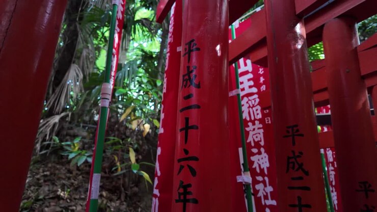 Tunnel di porte rosse torii presso il santuario shintoista Hie di Tokyo, punto di riferimento religioso del Giappone