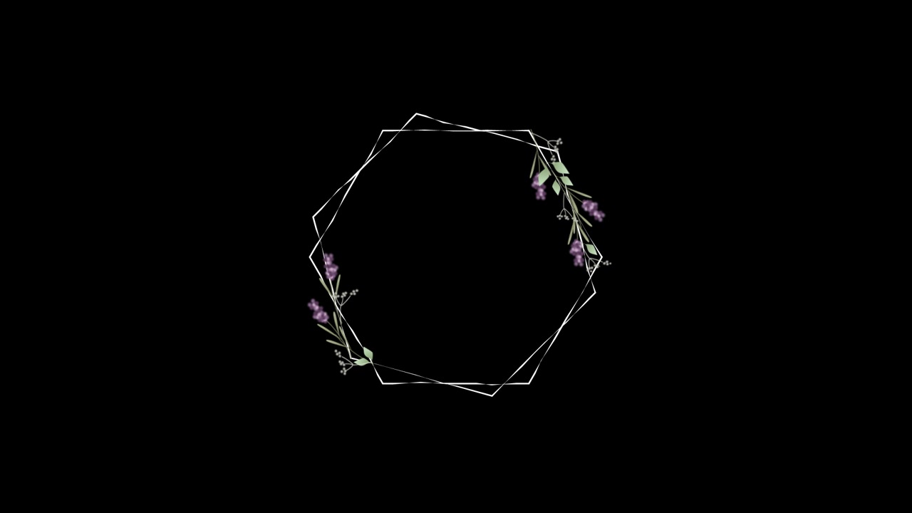 Animated Hexagonal Floral Frame on Black Background