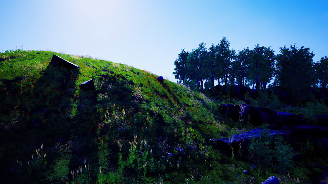 Vibrant green hillside under bright sunlight with trees in background