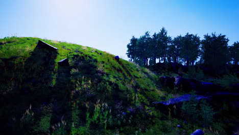 vibrant green hillside under bright sunlight with trees in background