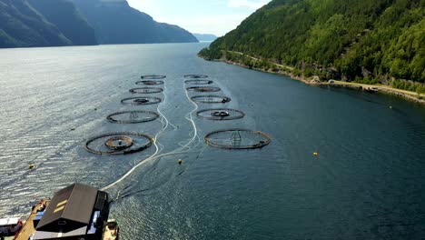 aerial footage farm salmon fishing in norway