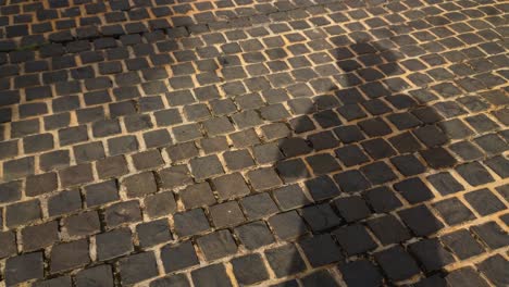 a man casting his own shadow while standing on a brick street pavement as other people pass by casting their own shadows as well