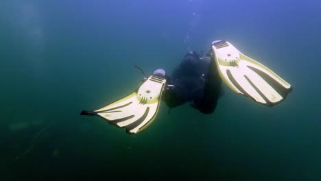 Swimming-behind-a-SCUBA-diver-in-a-freshwater-lake