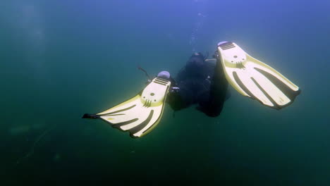 nadando detrás de un buzo submarino en un lago de agua dulce