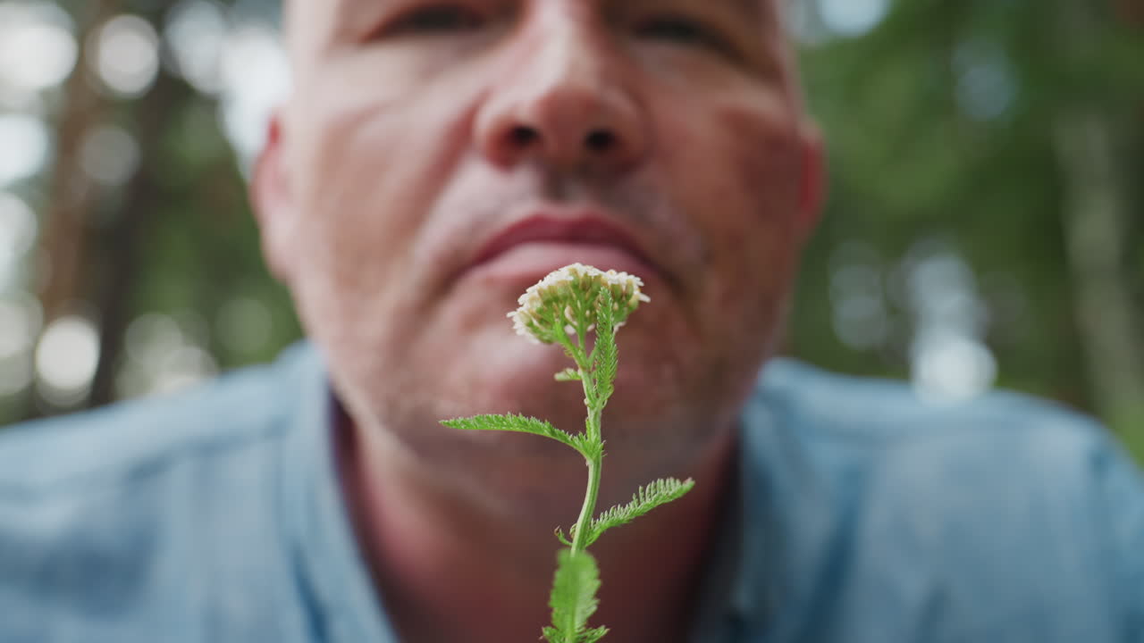 Portrait of middle aged man in blue shirt smelling small white flower outdoors, enjoying scent and quiet moment surrounded by green forest trees, expressing calm reflection and connection with nature