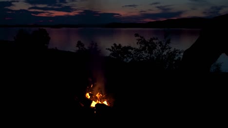 philip edward, island, ontario, canadá - hombre poniendo plantas secas al fuego mientras se quema al lado de un hermoso lago en una noche mientras acampa - de cerca