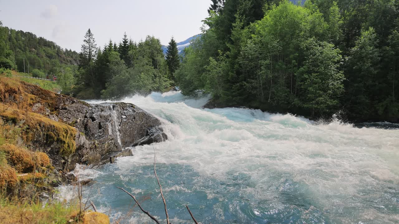 Powerful Rapids Flowing Through a Forest in Norway