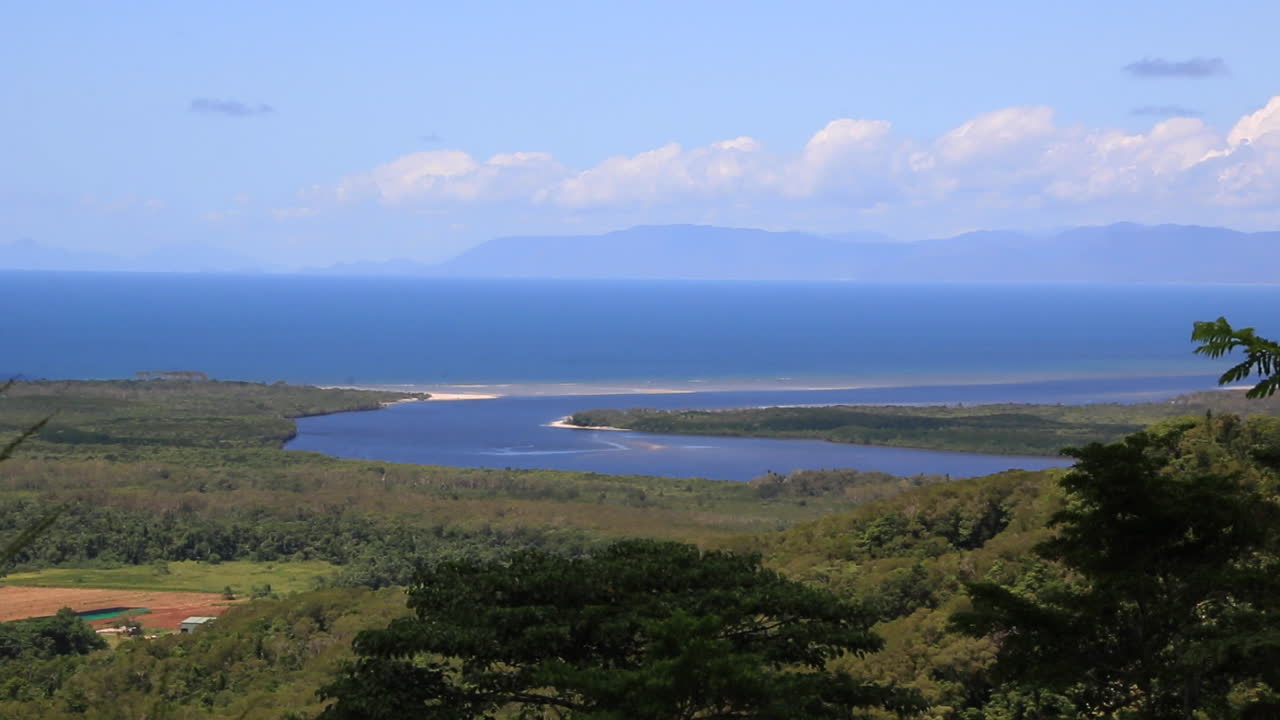 호주 퀸즐랜드의 데인트리 강 삼림 지역 열대 경관 조성