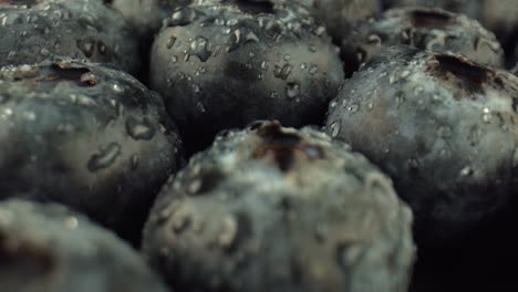 clear drops of water on blueberries, close-up. fruits of wild plants rich in vitamins. the concept of healthy food.