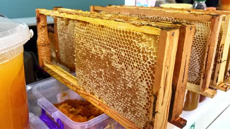 close up shot of a beekeeper scraping a honeycomb to harvest honey from a beehive in slow motion, oozing golden honey