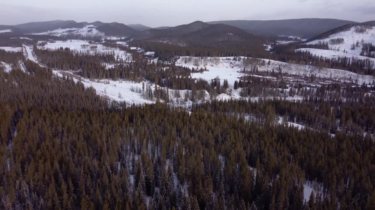 Drone che vola lentamente sopra una foresta invernale con colline coperte di neve sullo sfondo