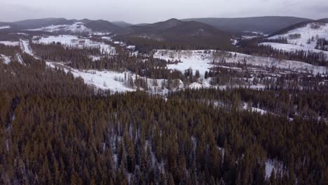 Drohne-Fliegt-Langsam-über-Den-Winterwald-Mit-Schneebedeckten-Hügeln-Im-Hintergrund