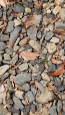 a person walking on a rocky path outdoors