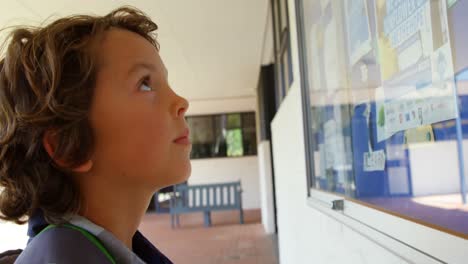 side view of caucasian schoolboy looking at noticeboard in the school corridor 4k