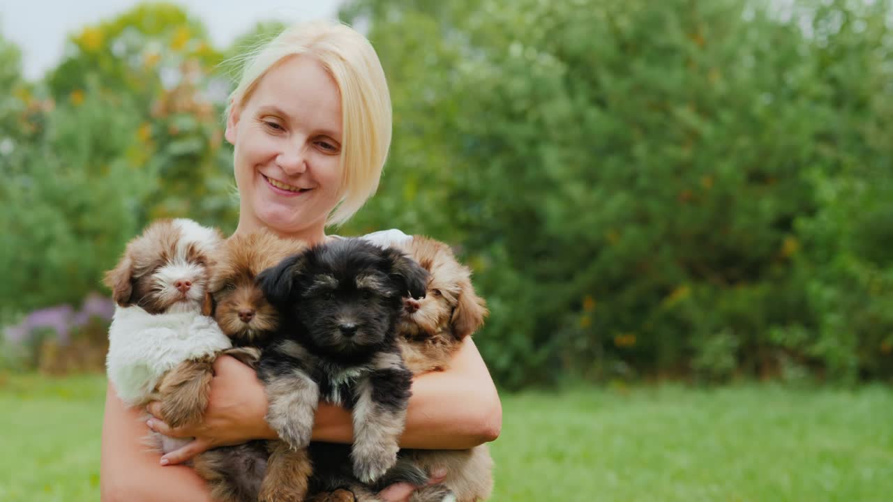 mujer feliz sosteniendo muchos cachorros en sus manos